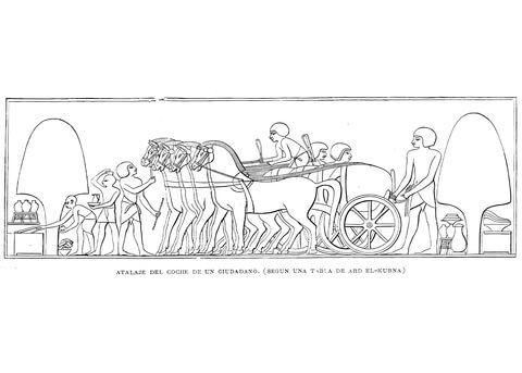 Ancient Egyptian Depiction Of Chariot Coloring Page